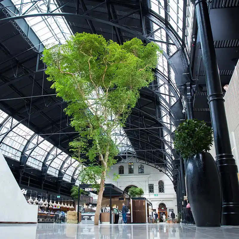 Bucida Østbanehallen,
