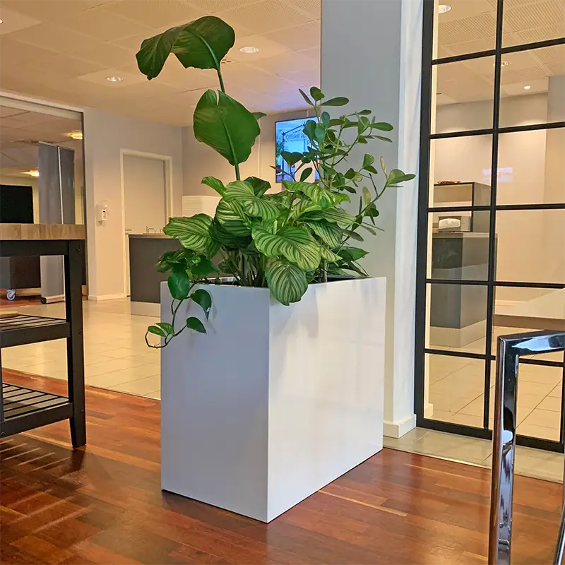 Grønne planter Saja Eiendom,