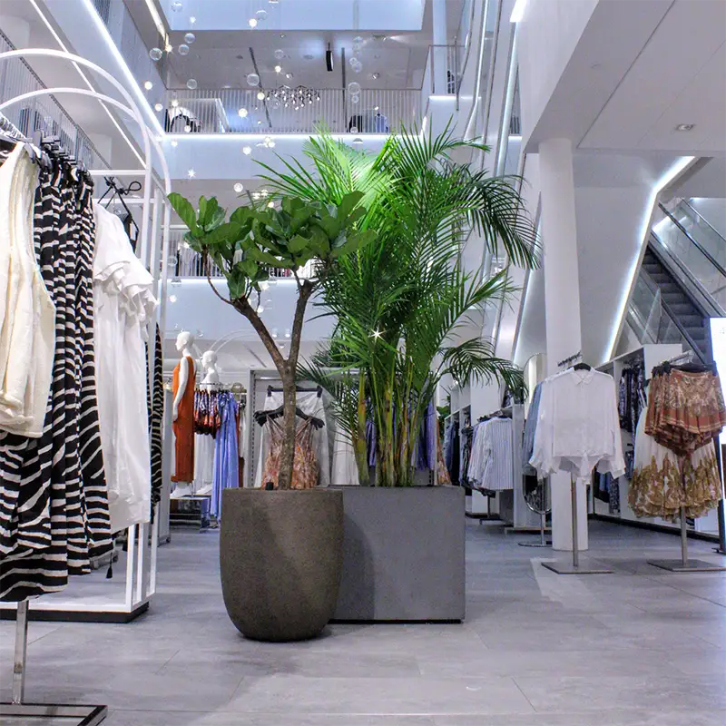 Planteinnredning hos H&M,