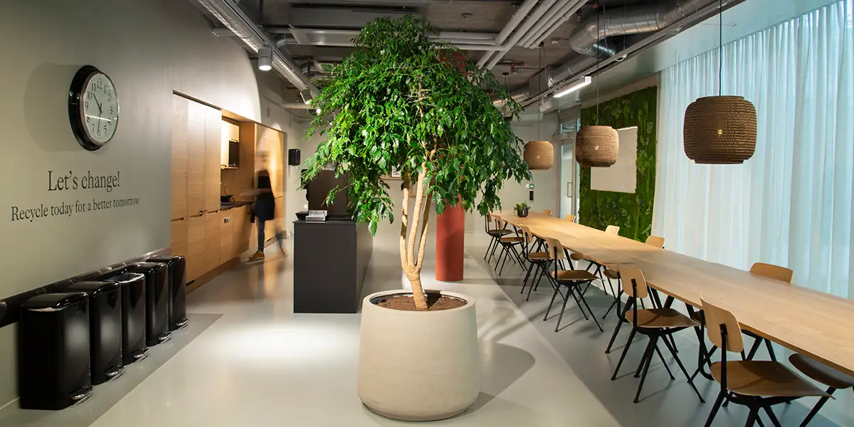 Planteinnredning hos H&m.