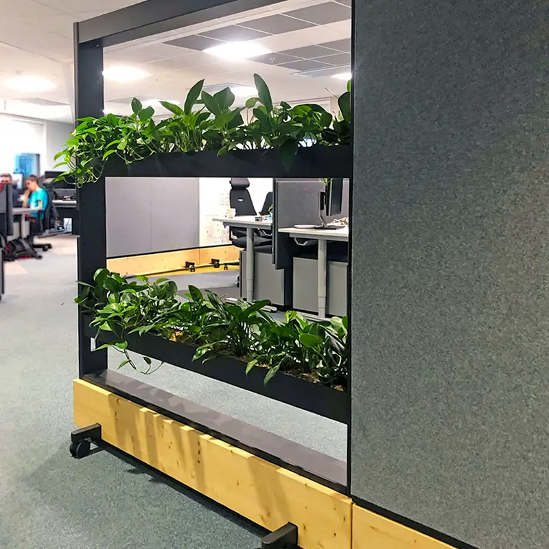 interiørbeplantning,