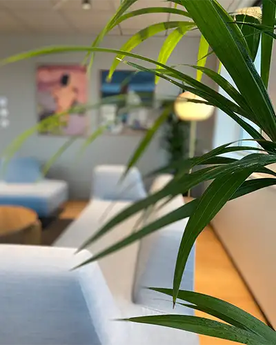 Kontakt Tropisk Design,