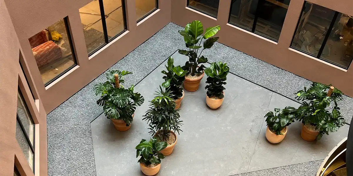 Filipstad Brygge, terrakotta med grønne planter,