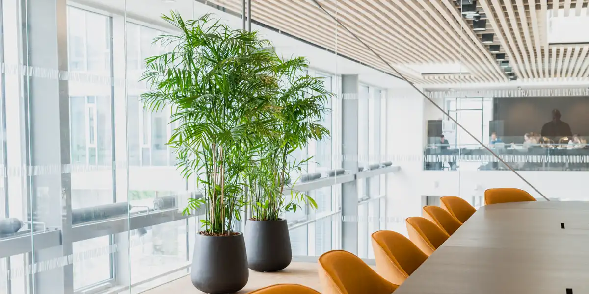 Lyst kontor med planter,