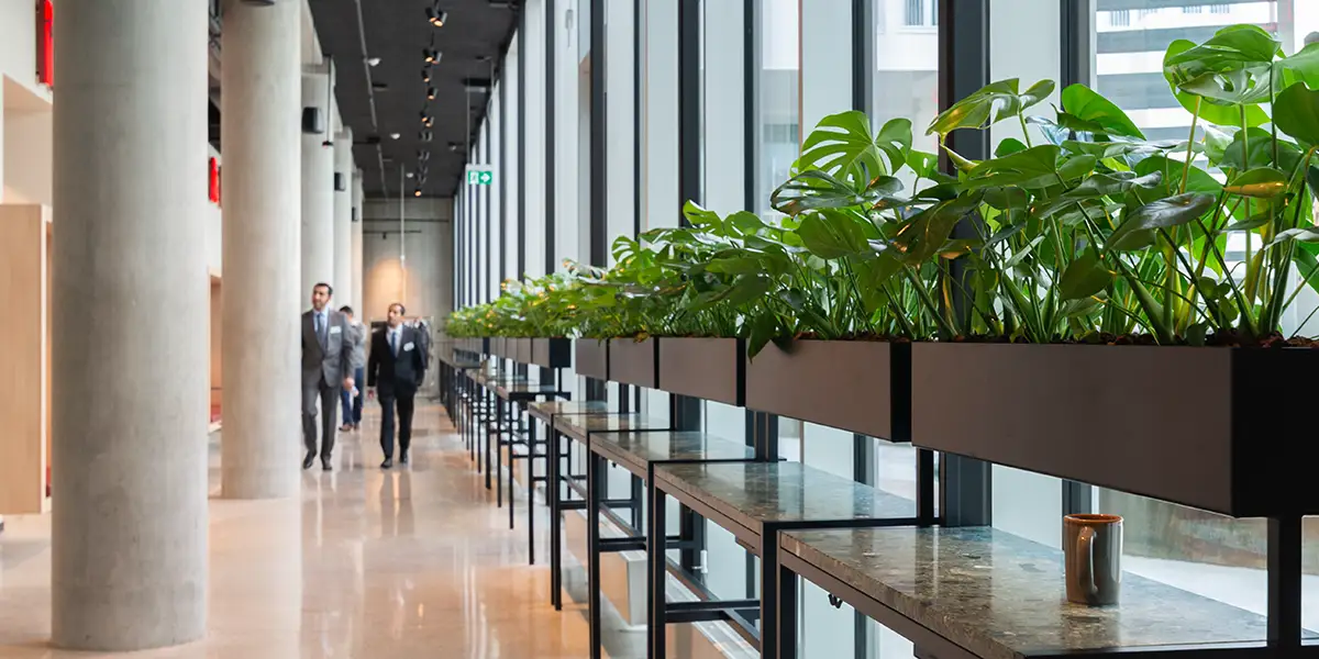 Planter og akustikk på kontoret i Oslo,