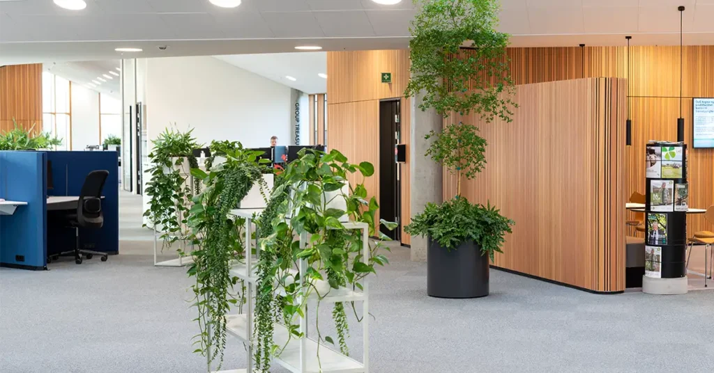 Planter og luftfuktighed,