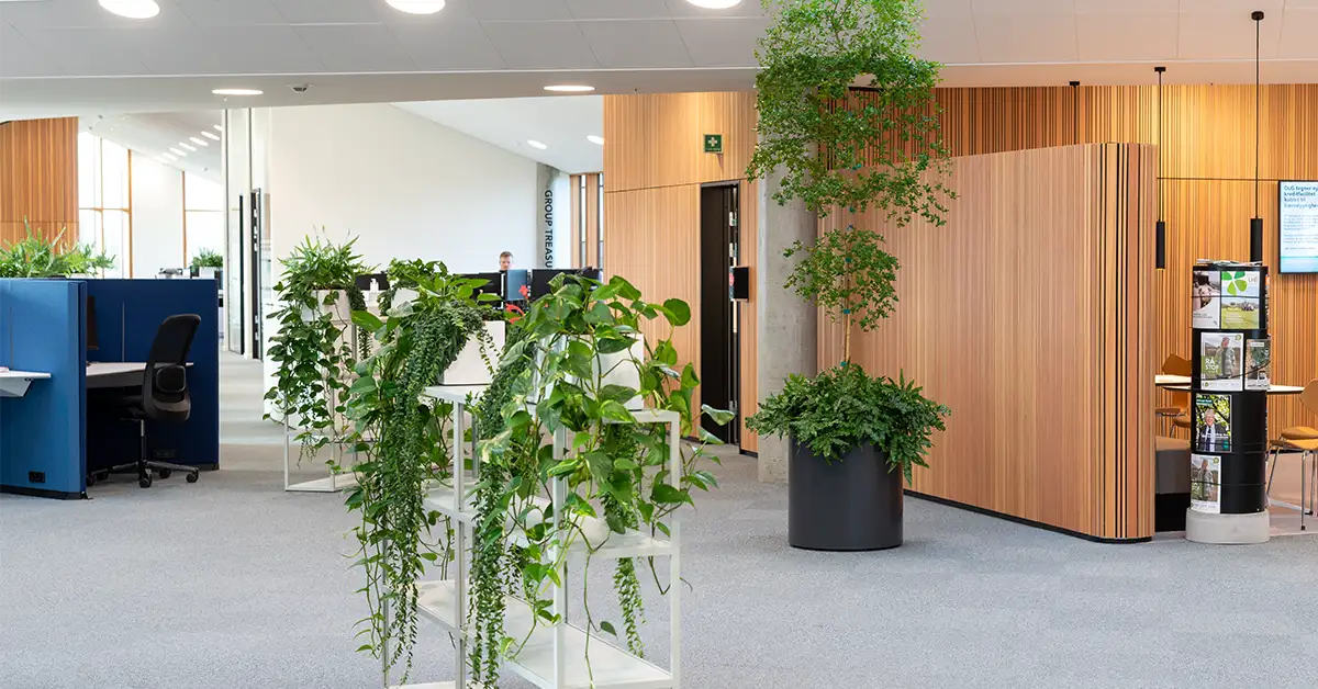 Planter og luftfuktighed,
