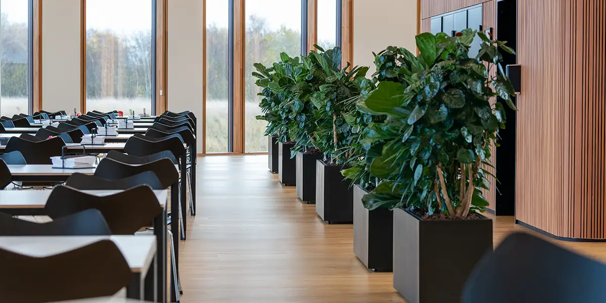Planter renser luften,