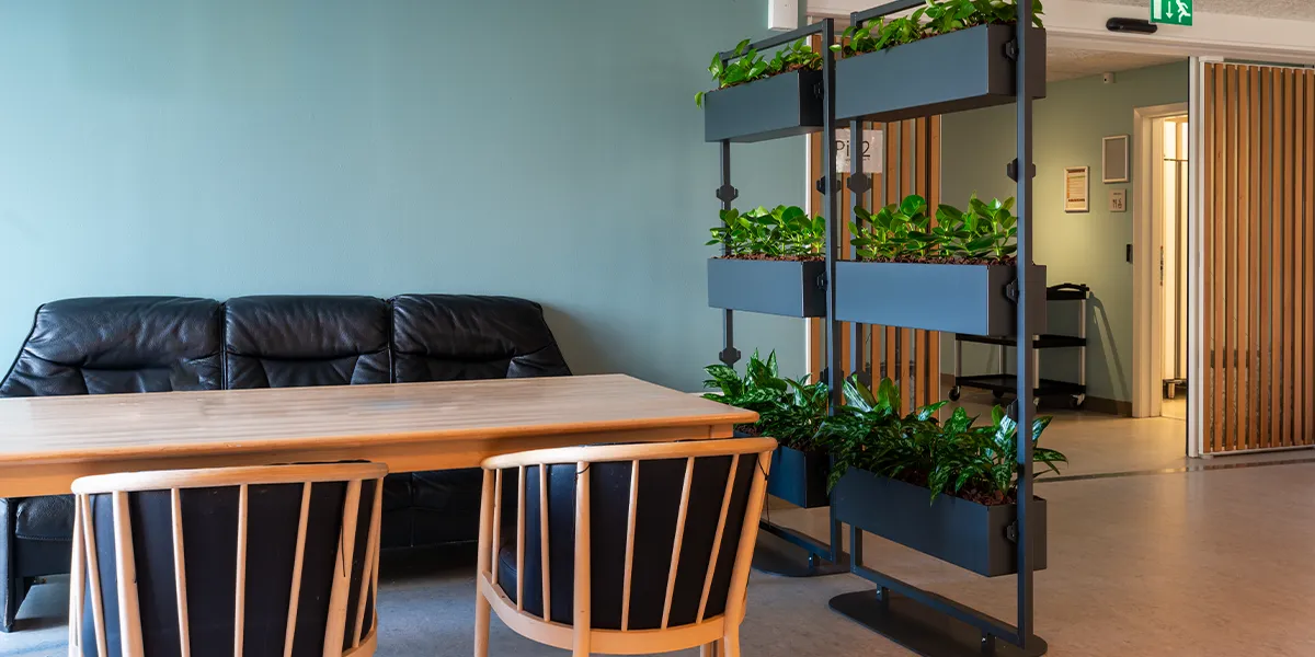 romdelere med planter,