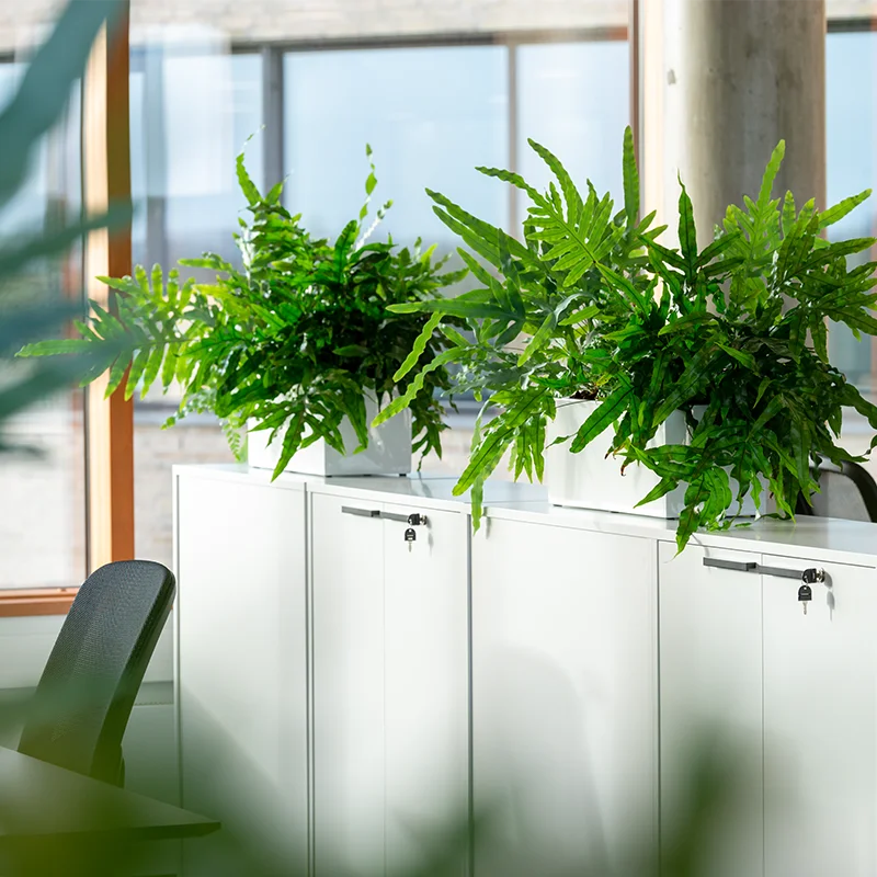 Planteservice Larvik,