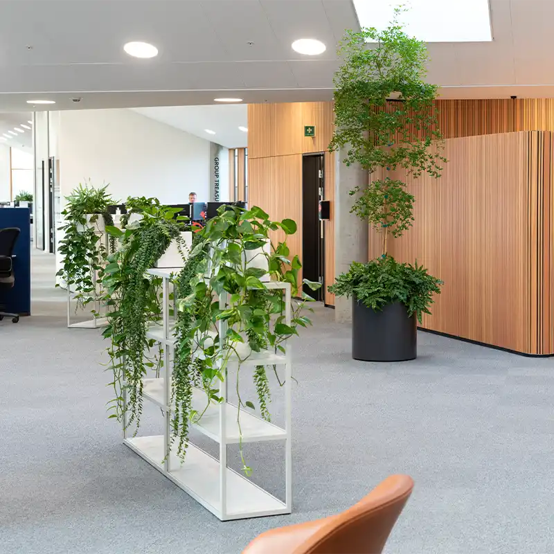 planteservice i Drammen,