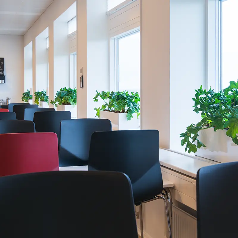 planteservice Horten,