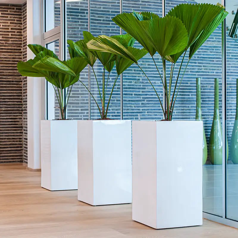 planteservice Lillestrøm,