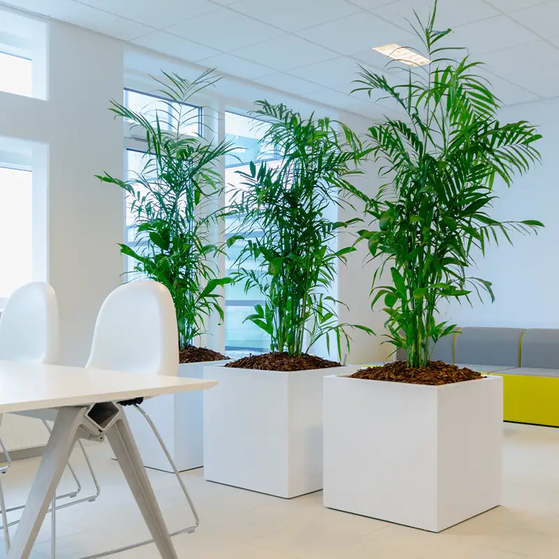 Planteservice Sandvika,